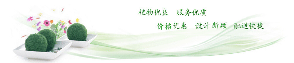 成都植物租赁公司的banner
