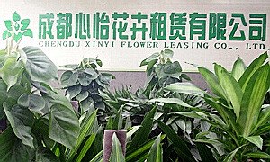 成都植物租赁公司的基地