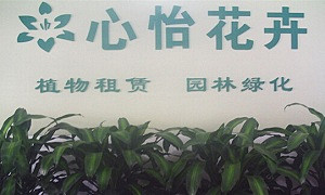 成都植物租赁公司的办公室