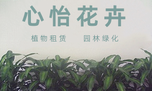 成都心怡花卉租赁有限公司